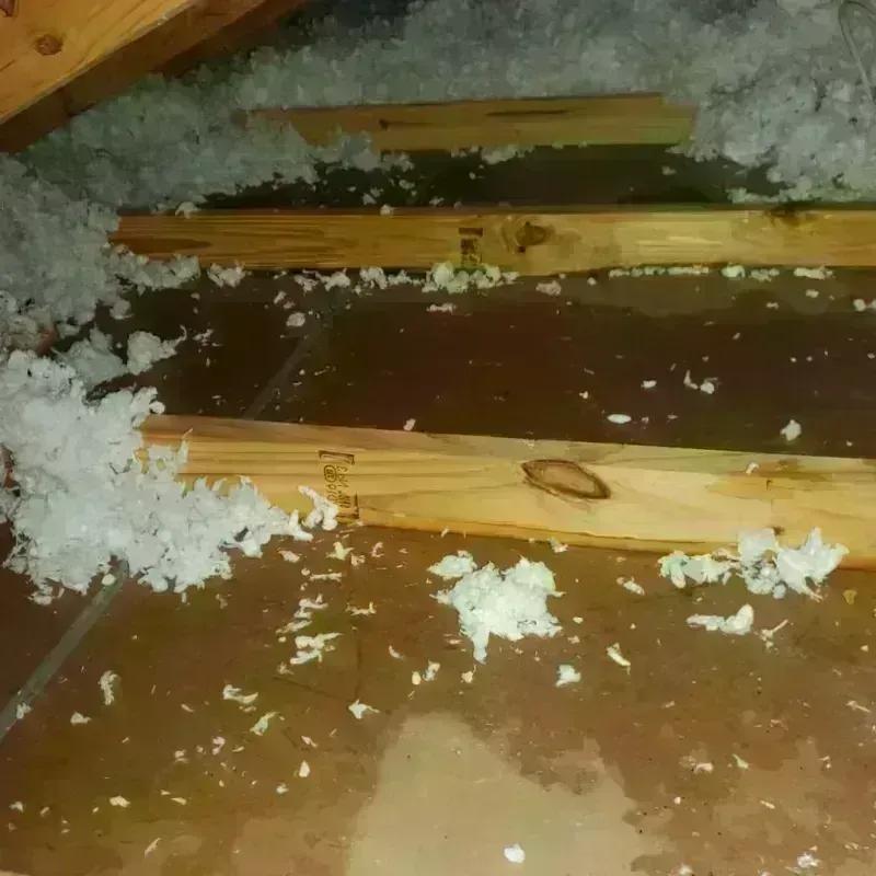 Attic Water Damage in Combined Locks, WI