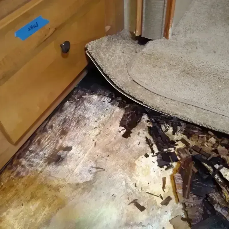 Best Wood Floor Water Damage Service in Combined Locks, WI